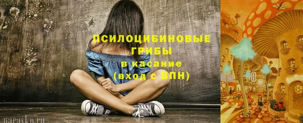 стафф Абдулино