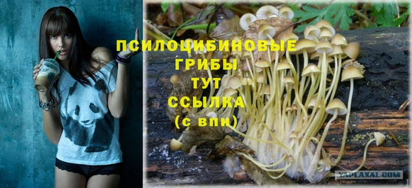 стафф Абдулино