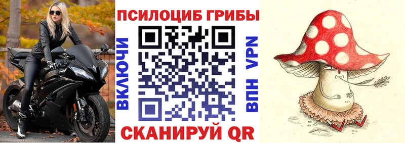 Псилоцибиновые грибы ЛСД  Петров Вал 